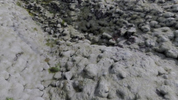 Icelandic Lichen Volcanic Field