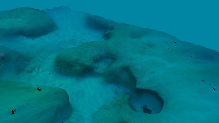 Underwater Tests - Theta V Result Photoscan