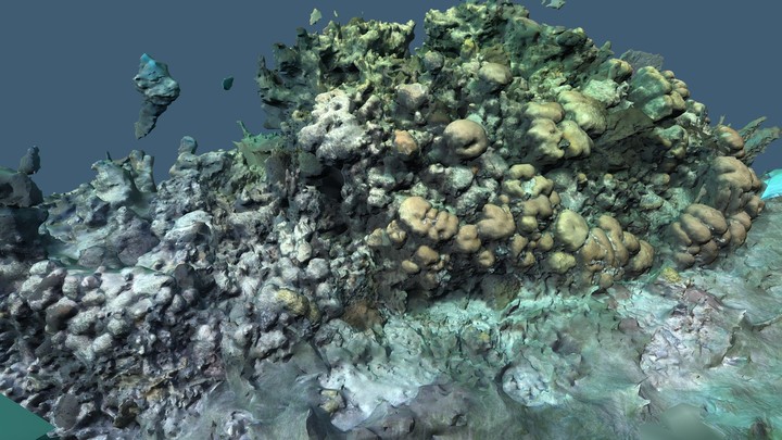 Underwater Tests - Gopro Belize Solve 2 2019